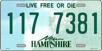 NH license plate 1177381