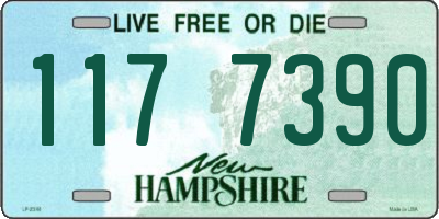 NH license plate 1177390