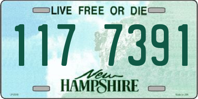 NH license plate 1177391