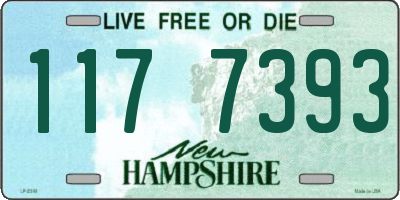 NH license plate 1177393