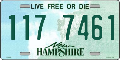NH license plate 1177461