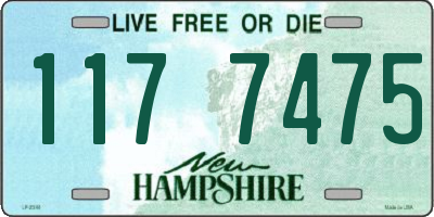 NH license plate 1177475