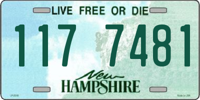NH license plate 1177481