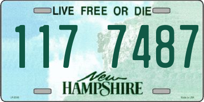 NH license plate 1177487