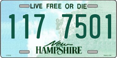 NH license plate 1177501