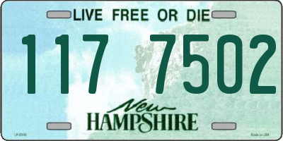 NH license plate 1177502