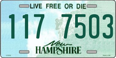NH license plate 1177503