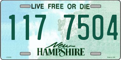 NH license plate 1177504