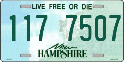 NH license plate 1177507