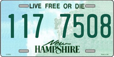 NH license plate 1177508