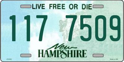 NH license plate 1177509