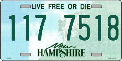 NH license plate 1177518
