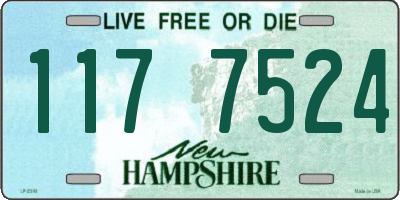NH license plate 1177524