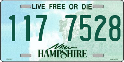 NH license plate 1177528
