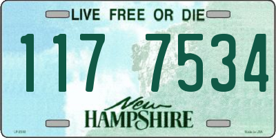 NH license plate 1177534
