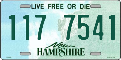 NH license plate 1177541