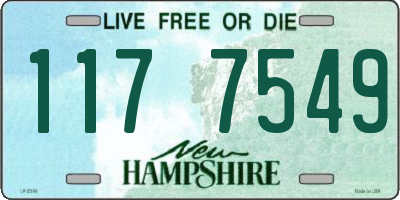 NH license plate 1177549