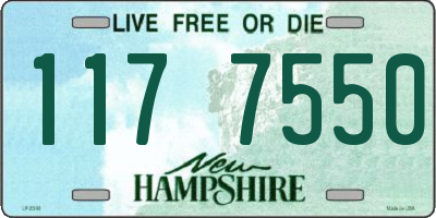 NH license plate 1177550