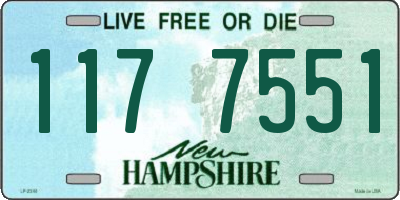 NH license plate 1177551