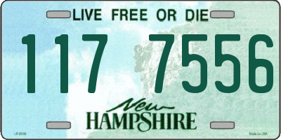 NH license plate 1177556
