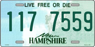 NH license plate 1177559