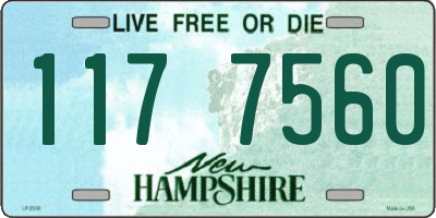 NH license plate 1177560