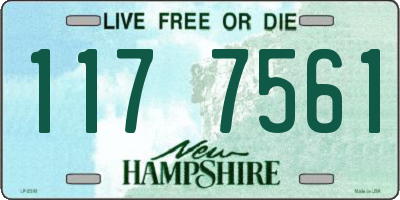 NH license plate 1177561
