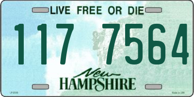 NH license plate 1177564