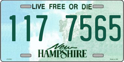 NH license plate 1177565