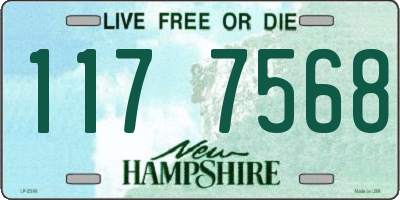 NH license plate 1177568