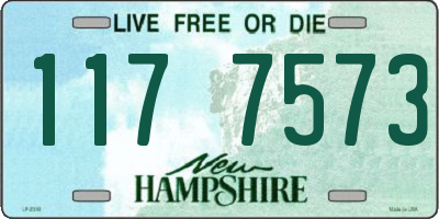 NH license plate 1177573