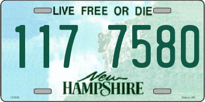 NH license plate 1177580