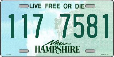 NH license plate 1177581