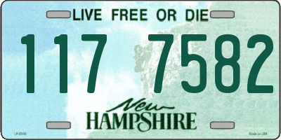 NH license plate 1177582