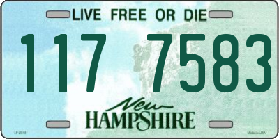 NH license plate 1177583