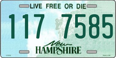 NH license plate 1177585