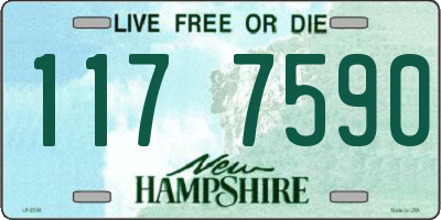 NH license plate 1177590