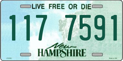 NH license plate 1177591