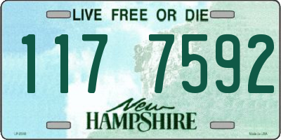 NH license plate 1177592