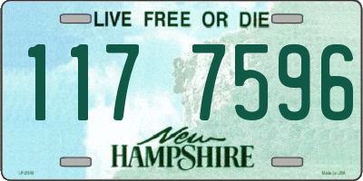 NH license plate 1177596