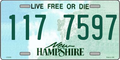 NH license plate 1177597