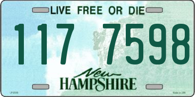 NH license plate 1177598