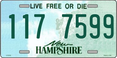 NH license plate 1177599