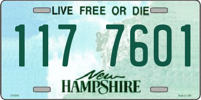 NH license plate 1177601