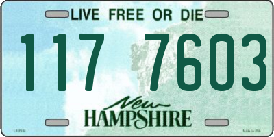 NH license plate 1177603