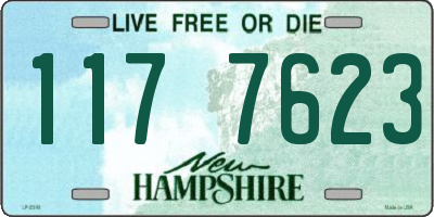 NH license plate 1177623