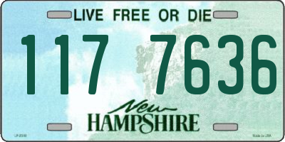 NH license plate 1177636