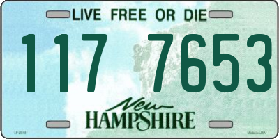 NH license plate 1177653