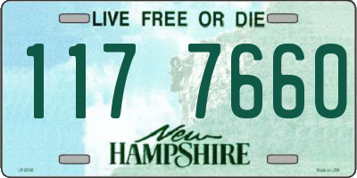 NH license plate 1177660