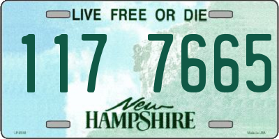 NH license plate 1177665